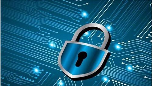 筑牢數(shù)字防線 防范電腦網(wǎng)絡(luò)安全風險與信息軟件開發(fā)策略