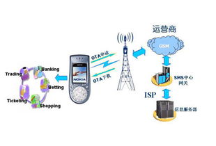 大唐微電子移動通信智能卡解決方案 構(gòu)筑網(wǎng)絡(luò)與信息安全的堅固防線